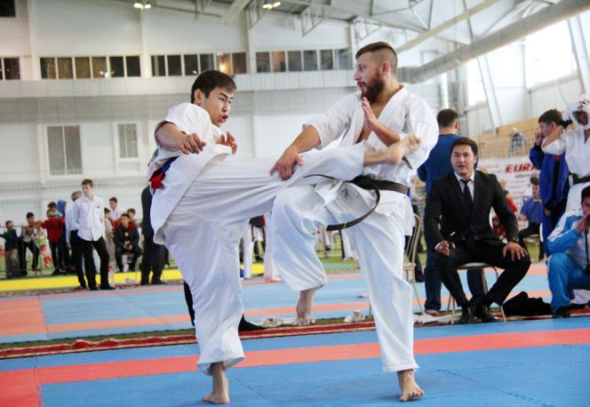 XVI интернациональный турнир «Кубок Евразии» по киокушин каратэ