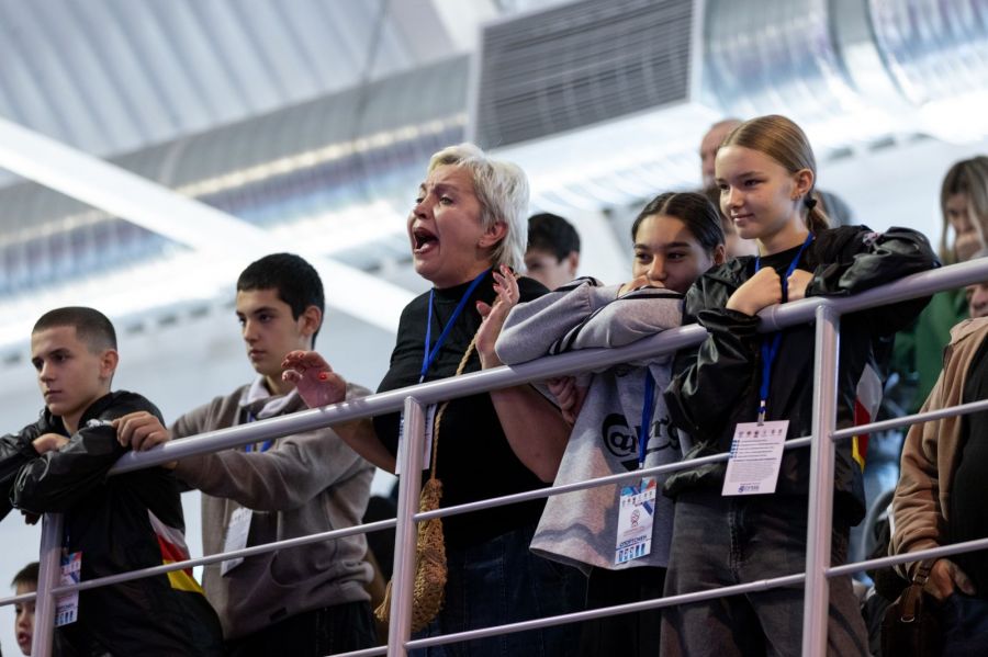 Эмоции на трибуне. Фото: Федерация всестилевого каратэ России