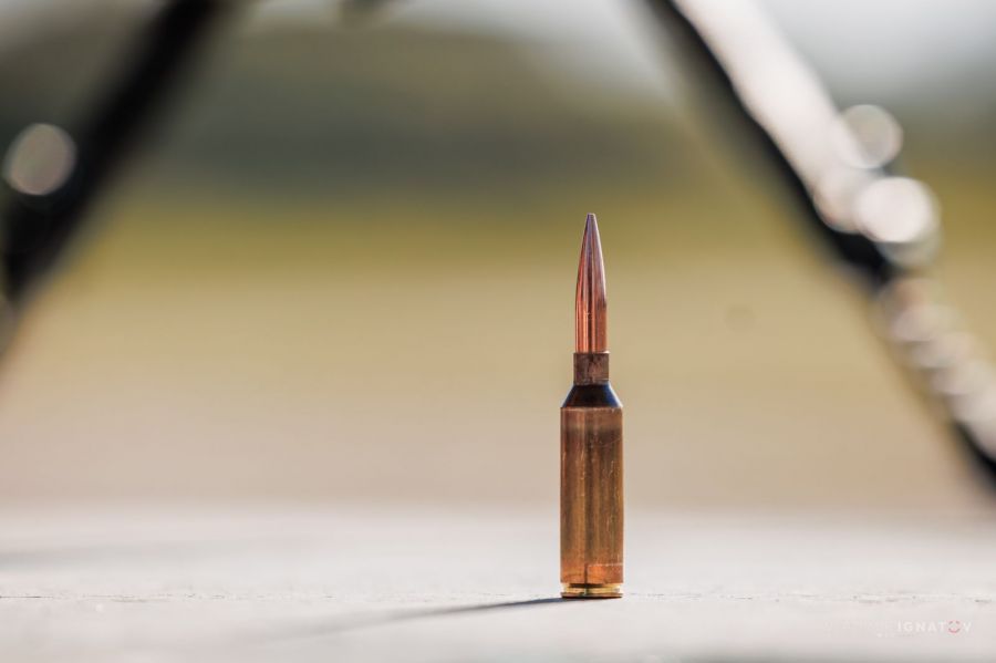 Фото: Владимир Игнатов