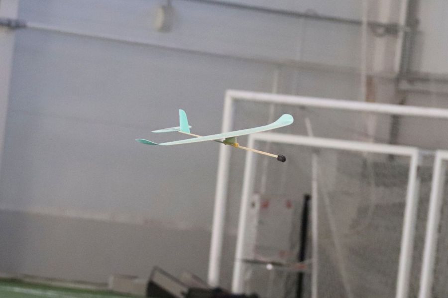 Фото: Олег Харлов / «Алтайский спорт»