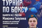28-30 октября. Рубцовск. СК "Торпедо". Турнир памяти кавалера ордена Мужества Максима Галузина