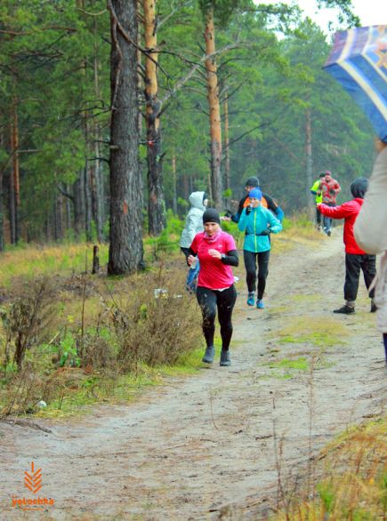 В сосновом бору Барнаула состоялся полумарафон «Yolochka Cross».