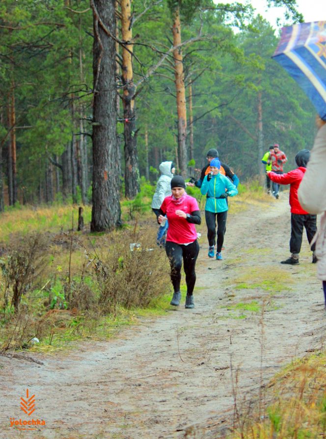 В сосновом бору Барнаула состоялся полумарафон «Yolochka Cross».