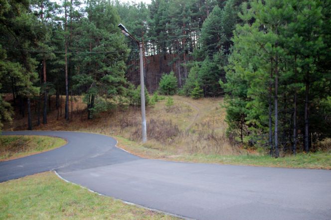 В районе бийского спорткомплекса «Заря» в лесном массиве заработала третья очередь вело-лыжероллерной трассы.