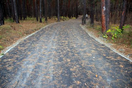 В районе бийского спорткомплекса «Заря» в лесном массиве заработала третья очередь вело-лыжероллерной трассы.
