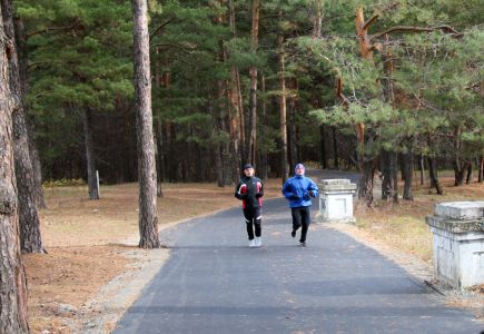 В районе бийского спорткомплекса «Заря» в лесном массиве заработала третья очередь вело-лыжероллерной трассы.