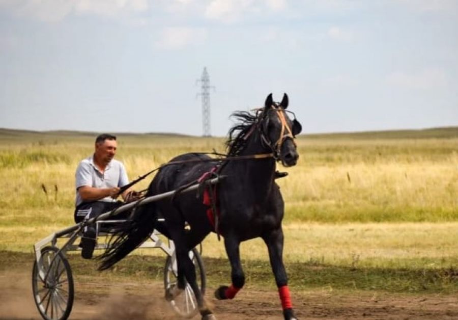 Фото из фотоальбома семьи Штрак 