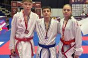 Традиционные соревнования по каратэ WKF «Кубок Дружбы» в Тольятти принесли команде Алтайского края 11 медалей