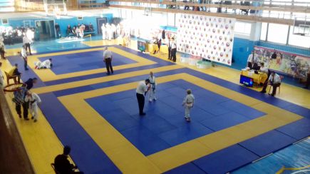 Сборная Алтайского края впервые стала победителем первенства Сибири по джиу-джитсу.