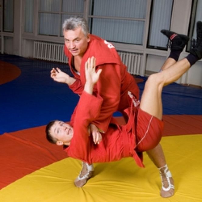 Сегодня - Всероссийский день самбо.