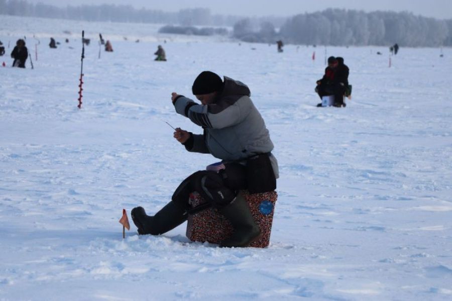 Фото из архива "АС"