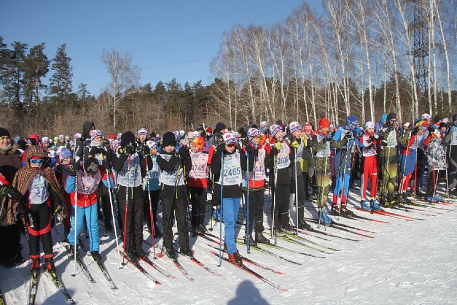 Фото: Ярослав Махначёв/ "Вечерний Барнаул"   