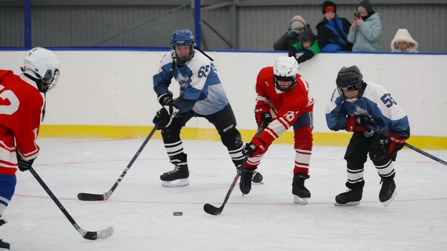 Арена в Покровке почти такая же, как в Барнауле на стадионе Смертина. Фото: Олег Богданов