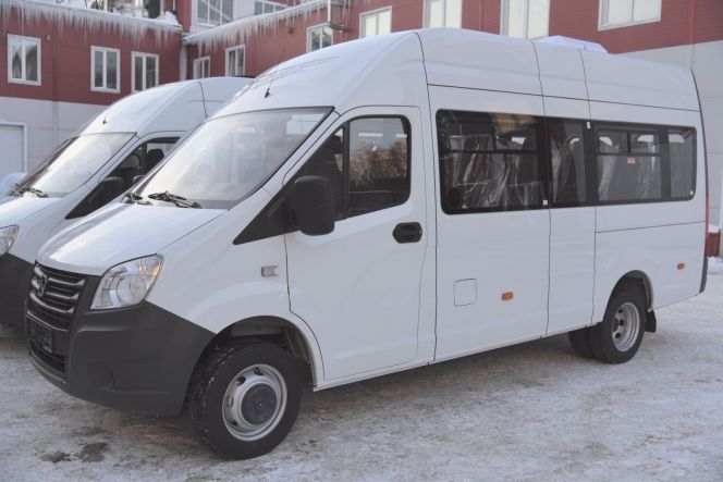 Фото: пресс-служба Министерства спорта Алтайского края