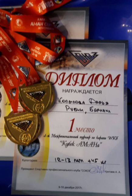 Алтайские спортсмены завоевали 16 медалей на IV межрегиональном турнире по каратэ WKF «Кубок АМАНа» среди детей младшего и среднего возраста.