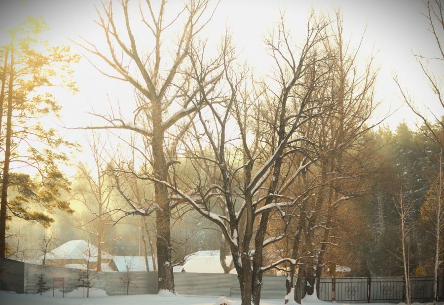 Фото: Александр Чёрный/"Алтайский спорт"