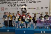 Алтайские спортсмены завоевали 16 медалей на IV межрегиональном турнире по каратэ WKF «Кубок АМАНа» среди детей младшего и среднего возраста.
