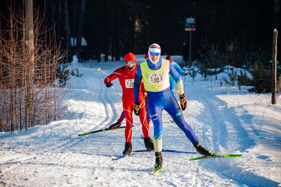 Фото: Ирина Яркова