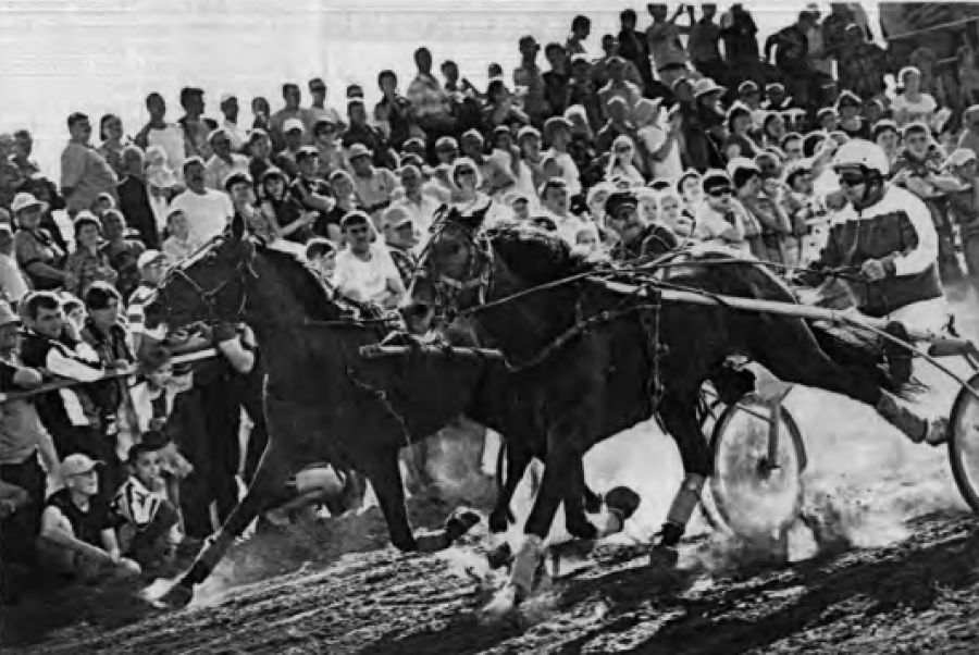 Фото: Евгений Налимов/"Алтайская правда"