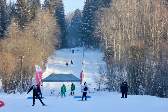 Трасса в Перми. Фото: Ассоциация спортивного ориентирования Пермского края