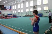 В Барнауле состоялось первенство края по спортивной гимнастике.