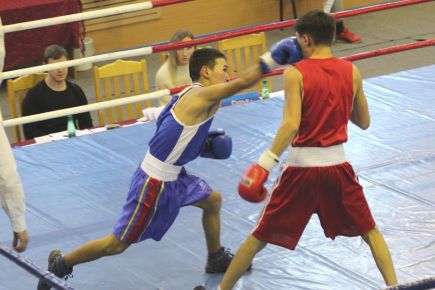 Всероссийский фестиваль бокса памяти погибших сотрудников УФСБ России по Алтайскому краю собрал в Барнауле сотню боксёров.