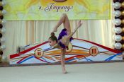 ДЮСШ «Жемчужина Алтая» провела в Барнауле Открытый чемпионат и первенство Алтайского края среди гимнасток 2001-2007 годов рождения