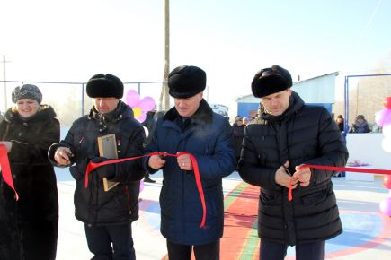 Подарок любителям хоккея и коньков