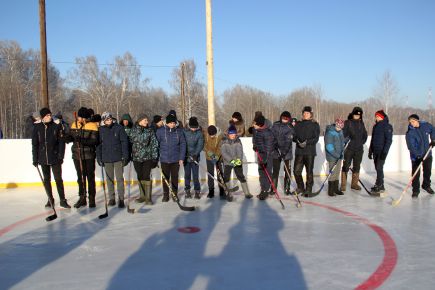 Подарок любителям хоккея и коньков