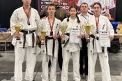 Спортсмены региона успешно выступили на чемпионате и первенстве Сибири по киокусинкай в Новокузнецке