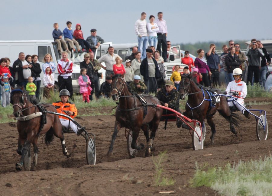 Фото: Евгений Налимов