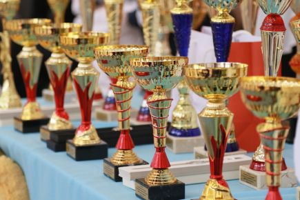 Фотокорреспондент "Комсомольской правды" Олег Укладов поделился с "АС" фотографиями с XI турнира на призы Сергея Хорохордина. 