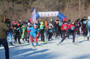 Солнце, воздух, хорошо! Более полутора тысяч лыжников приняли участие в региональном старте «Лыжни России» в Барнауле