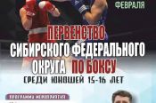 17-21 февраля. Барнаул. СШОР "Алтайский ринг". Первенство Сибири среди юношей 15-16 лет