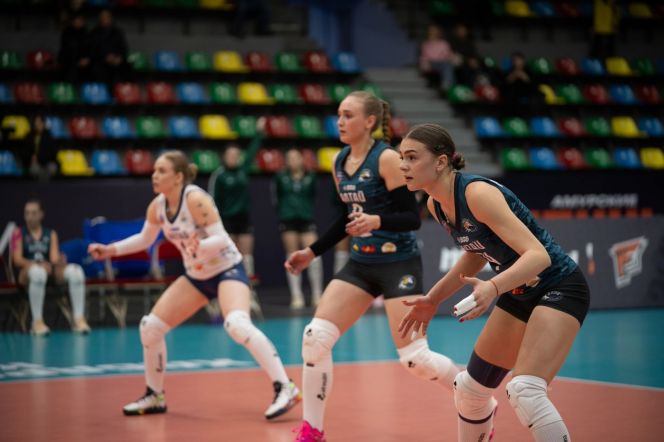 Фото: Амурские тигрицы 