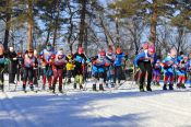 И мороз нипочем: 800 человек встали на «Лыжню России» в Бийске