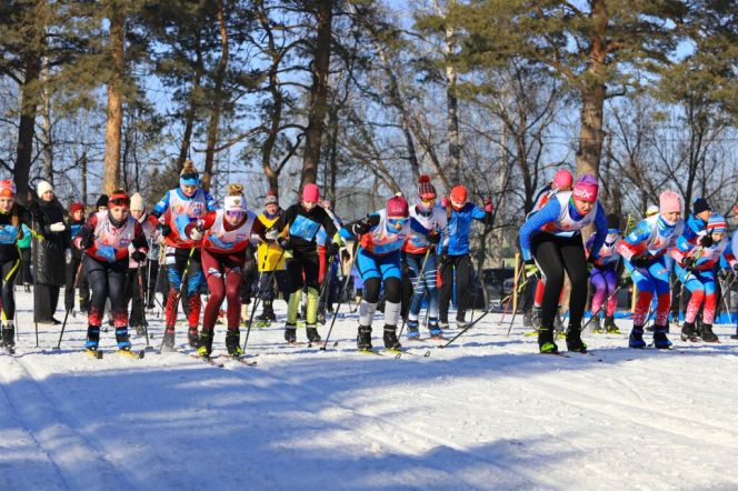 Фото: Сергей Кулыгин