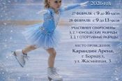 27-28 февраля. Барнаул. "Карандин Арена". Краевые юношеские соревнования по фигурному катанию