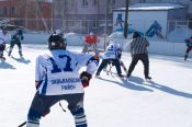 В Завьялово прошёл турнир ветеранов хоккея памяти Евгения Матвеева 