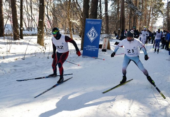 Фото: dynamo22.su