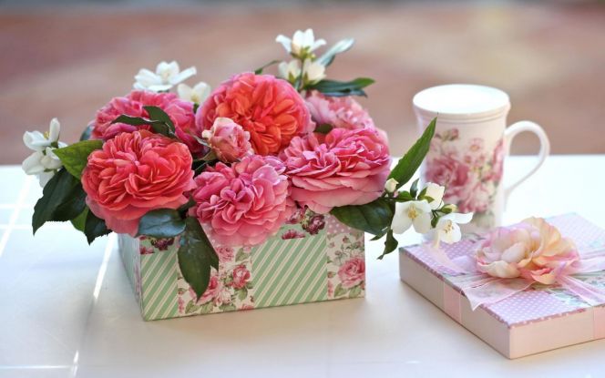 Фото: fonwall.ru