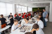 Три путёвки в Сочи. В Барнауле завершились три краевых финала среди школьных команд: «Белая ладья», «Дебют» и «Шахматное поле»