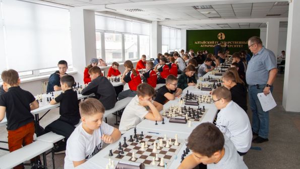 Три путёвки в Сочи. В Барнауле завершились три краевых финала среди школьных команд: «Белая ладья», «Дебют» и «Шахматное поле»