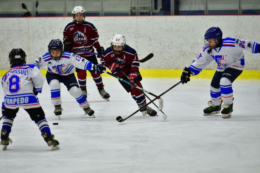 Фото: СШ по хоккею "Алтай"