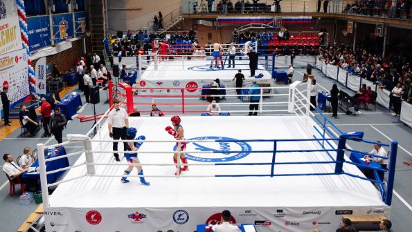 Сила Сибири. В Барнауле определили сильнейших кикбоксёров округа 