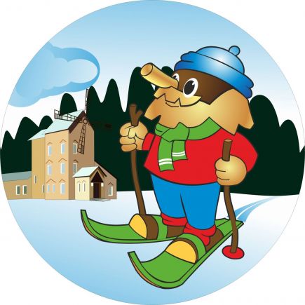 Онлайн. XXXIII зимняя олимпиада сельских спортсменов Алтайского края в Павловске