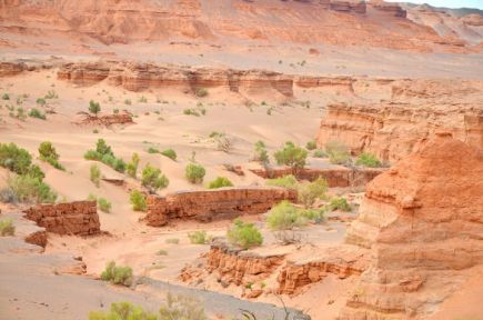 Команда федерации спортивного туризма Алтайского края выиграла чемпионат России в номинации «авто-мото».