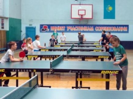 Такой пинг-понг нам не нужен?