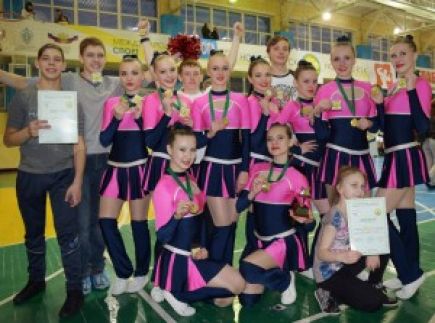 Алтайские команды выиграли три медали на открытом чемпионате Новосибирской области (фото).