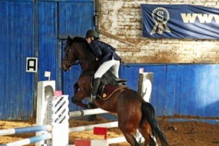 Алтайские конники привезли 23 личных медали и 5 командных кубков с чемпионата и первенства СФО в помещении (фото).